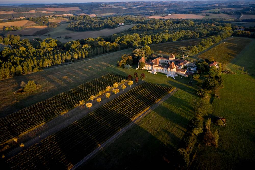 Vignoble près de Toulouse